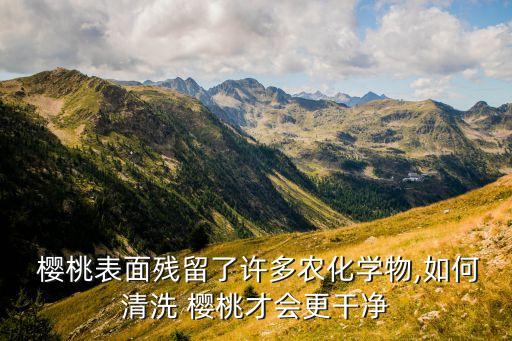 櫻桃表面殘留了許多農(nóng)化學(xué)物,如何清洗 櫻桃才會更干凈