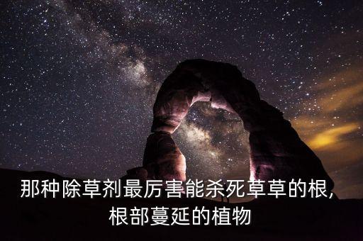 什么農(nóng)藥殺草不傷苗根部,殺節(jié)節(jié)草用什么農(nóng)藥