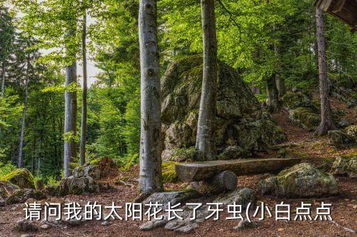 用什么農(nóng)藥消滅牙蟲病,農(nóng)藥牙蟲什么最好