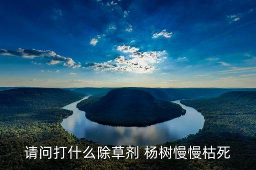 請(qǐng)問(wèn)打什么除草劑 楊樹(shù)慢慢枯死