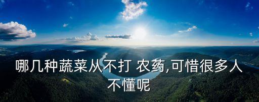 沒打農藥的菜是什么,農藥be是什么單位