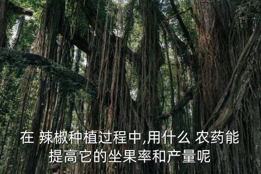 在 辣椒種植過程中,用什么 農藥能提高它的坐果率和產量呢