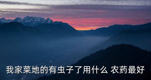 打茶蟲用什么農藥好,什么茶沒有農藥