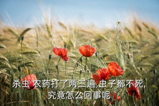 殺蟲 農藥打了兩三遍,蟲子都不死,究竟怎么回事呢