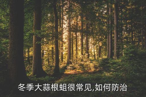 根蛆用什么農(nóng)藥,殺根蛆最好的農(nóng)藥