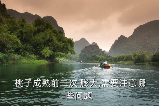  桃子成熟前二次 膨大,需要注意哪些問題