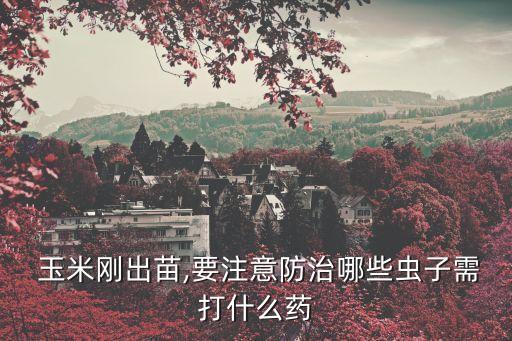 玉米前期打什么農藥好使,什么農藥能讓玉米不結棒