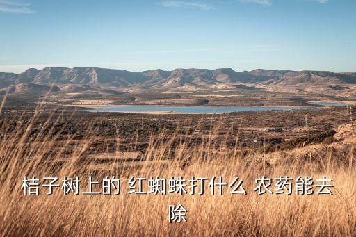 桔子樹上的 紅蜘蛛打什么 農藥能去除