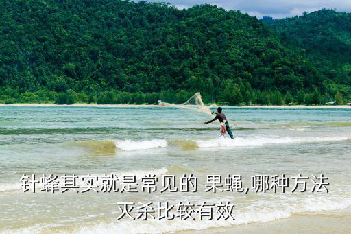 殺果蠅用什么農藥好,什么能殺果蠅