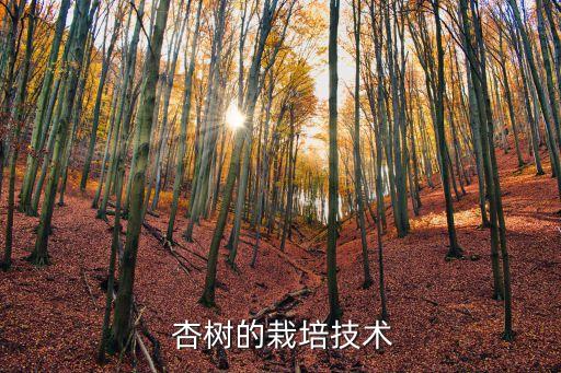 ,杏樹剪完枝打什么農藥