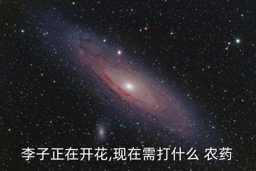 李子樹怎么打什么農藥