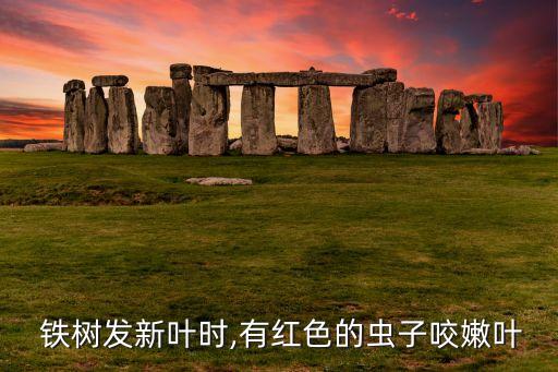 鐵樹用什么農(nóng)藥除蟲,鐵樹打什么農(nóng)藥好