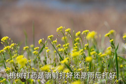 下雨后種什么農藥,蔬菜下雨多打什么農藥