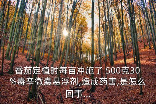 500克種什么農藥,農藥勢克能防止什么病