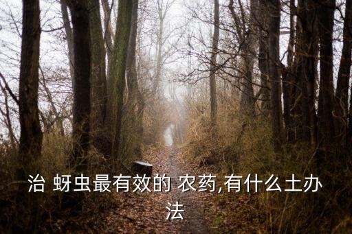 治蚜蟲什么農藥好用,不用農藥怎樣治蚜蟲