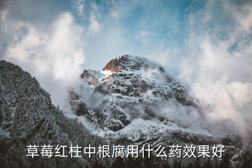 治根腐有什么農藥,根腐用什么藥治比較好