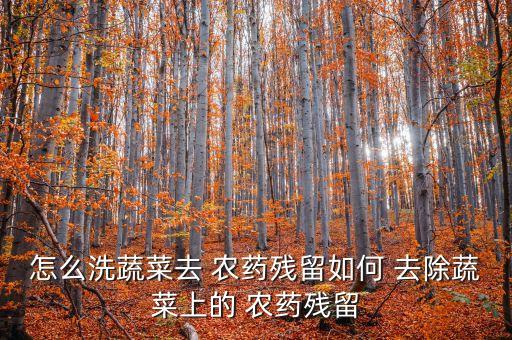 洗菜放什么能去除農藥