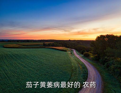 茄子打什么農(nóng)藥漂亮,茄子不能用什么農(nóng)藥