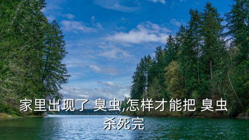 家中有臭蟲你用什么農藥