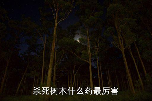 殺死樹木什么藥最厲害