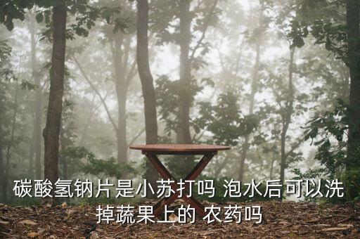 碳酸氫鈉片是小蘇打嗎 泡水后可以洗掉蔬果上的 農(nóng)藥嗎