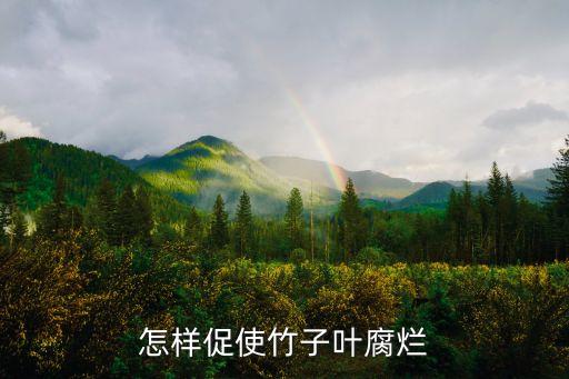 什么農藥可以破壞竹根