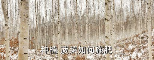 種菠菜打什么農藥最好使,種什么不需要打農藥