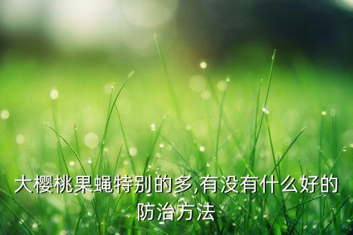 果子蠅用什么農藥能除,果子爛了施什么農藥
