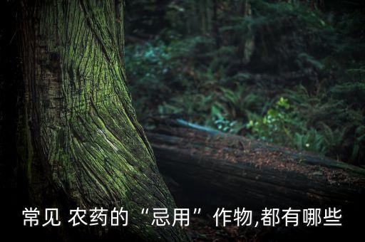 什么農藥不能打黃豆,黃豆不能和什么一起打