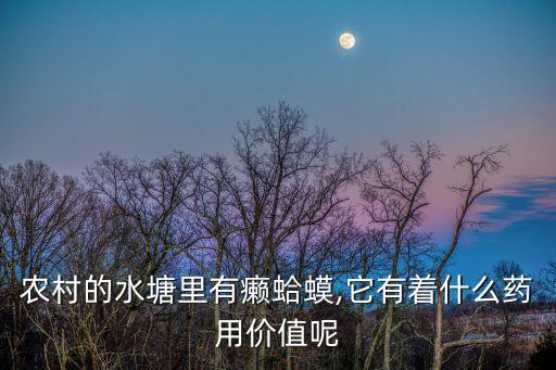農(nóng)村的水塘里有癩蛤蟆,它有著什么藥用價(jià)值呢