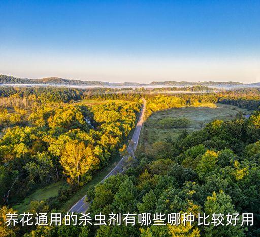 蟲害用什么農藥最有效,蔥蟲害用什么農藥打