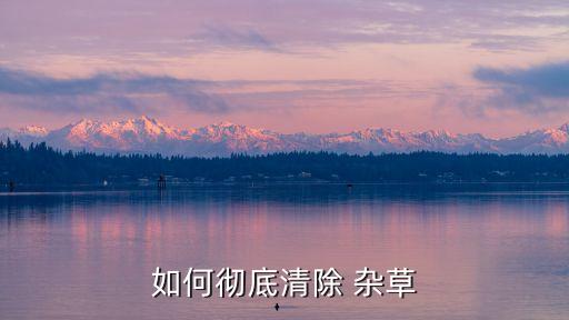 什么農藥可以消除雜草,春季雜草用什么農藥效果好