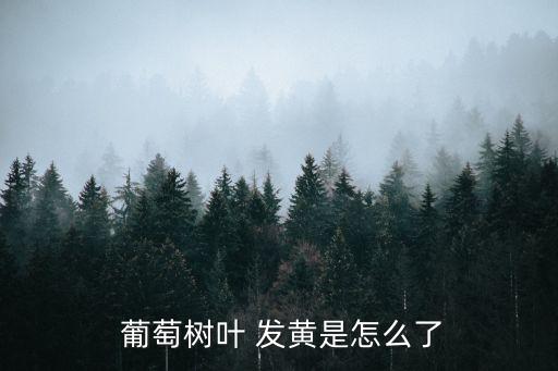 葡萄發黃用什么農藥,葡萄新葉發黃什么原因