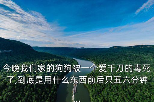 今晚我們家的狗狗被一個愛千刀的毒死了,到底是用什么東西前后只五六分鐘...