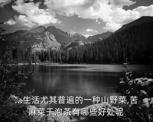 ...生活尤其普遍的一種山野菜,苦麻菜干泡茶有哪些好處呢