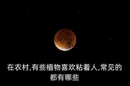 在農村,有些植物喜歡粘著人,常見的都有哪些