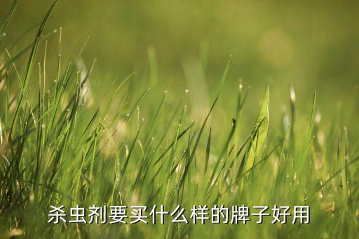 殺蟲劑要買什么樣的牌子好用