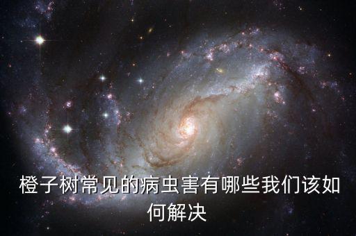 種橙子打什么農藥好,橙子會不會打農藥