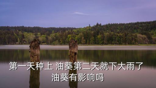 青菜蟲用什么農(nóng)藥,油葵打什么農(nóng)藥