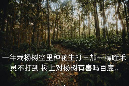 一年栽楊樹空里種花生打三加一精喹禾靈不打到 樹上對楊樹有害嗎百度...