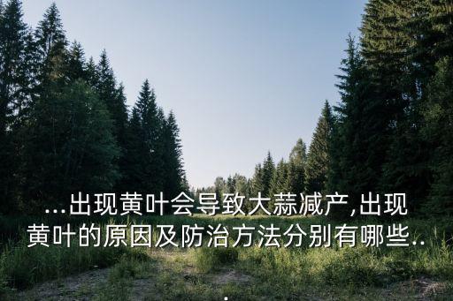 蒜苗枯黃用什么農藥,蒜苗打什么農藥好