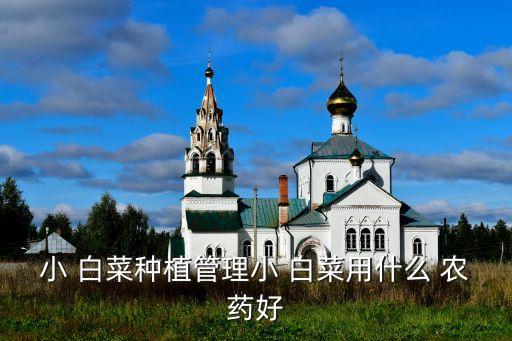 小 白菜種植管理小 白菜用什么 農藥好