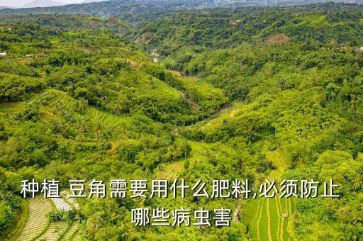 種植 豆角需要用什么肥料,必須防止哪些病蟲害