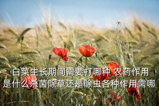 白菜生長(zhǎng)期間需要打哪種 農(nóng)藥作用是什么殺菌除草還是除蟲(chóng)各種作用需哪...