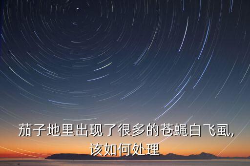 茄子地里出現了很多的蒼蠅白飛虱,該如何處理