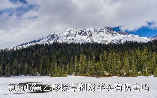 氯氟吡氧乙酸除草劑對芋頭有傷害嗎