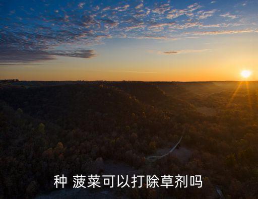 種 菠菜可以打除草劑嗎