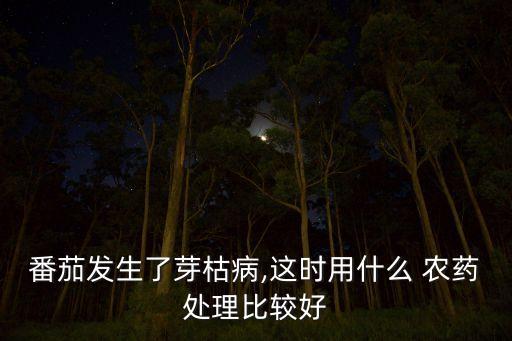 番茄發生了芽枯病,這時用什么 農藥處理比較好