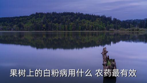 噴灑什么農藥最好使用,桃樹噴灑什么農藥