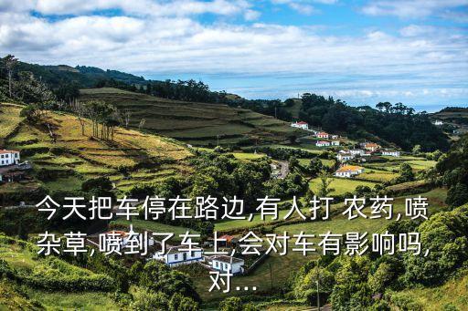 打農(nóng)藥車叫什么,二手打農(nóng)藥車